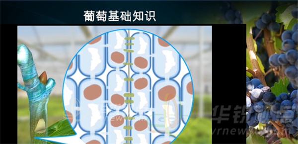 VR課件編輯器,虛擬仿真培訓(xùn)系統(tǒng)